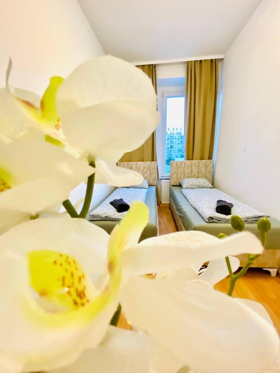 Comfortable Room In The 23Rd District Of Vienna Fr4 Ngoại thất bức ảnh